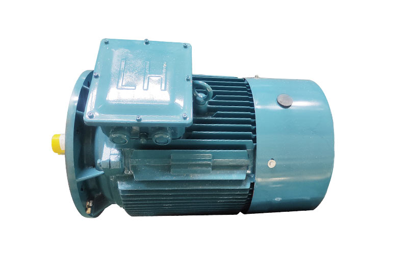 Y pump motor